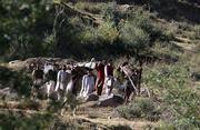 Kashmiri men carry two injured survivors from Khira Kal village to Butnar village in a mountainous area of the Neelum valley in northern Pakistan. New casualty figures from the South Asian earthquake have pushed the death toll to more than 79,000, regional officials said Wednesday.
