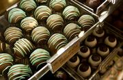 Various forms of chocolates, such as these creme de menthe truffles, line the displays at Riverfront Chocolates.