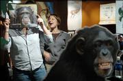 Erin Passman, of Lawrence, laughs as Allison Hughes, of Overland Park, places a see-through picture of a female chimpanzee over her face at the "Explore Evolution" exhibit at the Kansas Museum and Biodiversity Center at Kansas University. Evolution will be the hot issue today as the State Board of Education will discuss the teaching of evolution and intelligent design in Kansas public schools.