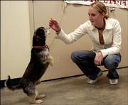 Marci Flory, 20, of Eudora, gets her dog Duncan to do a trick Sunday during the Animal Fair of Douglas County.