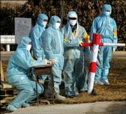Workers wait at a disinfection checkpoint Wednesday at the entrance to Qitaizi Village in China's northeast Liaoning province. The village was the site of one of four recent outbreaks of bird flu in Liaoning province. The World Health Organization warned China on Thursday that it should be preparing for further bird flu outbreaks.