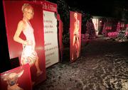 Enlarged images of famed hotel heiress Paris Hilton appear on the front lawn of a home Thursday in Cranston, R.I. The display is the work of designer Joe Moretti, 38, and includes a list entitled "How to Be a Hilton," complete with tips such as: "An entrance is everything," "NEVER wake before 10 a.m." and "NEVER spend the summer in NYC." Poster at bottom left shows Hilton's Chihuahua, Tinkerbell.