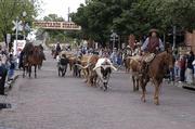 Fort Worth's Stockyards area offers a variety of Western activities, in addition to bars, shops and restaurants. Those include cattle drives at 11:30 a.m. and 4:30 p.m. daily, a historical museum and the Texas Cowboy Hall of Fame.