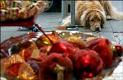 Golden retriever Max waits Friday for owner Mette Tangaa-Andersen to finish shopping outside of Just For Fun in San Francisco.