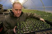 Grower Ed Snodgrass displays some of his plants that he sells and are used for rooftop growing at one of his greenhouses in Street, Md. The plants help keep out the summer heat and winter cold while also managing storm water runoff and absorbing carbon dioxide.