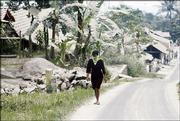 An Indonesian woman walks up a road and past foliage turned white by volcanic ash which hit the village Sunday night in Babedan village, about 3 kilometers (1.8 miles) away from Mount Merapi Monday, May 15, 2006 in Yogyakarta, the capital of Central Java province, Indonesia. Clouds of deadly hot ash, rock fragments and volcanic gas surged down Mount Merapi's slopes Monday, as activity at the towering volcano intensified to its highest level yet.