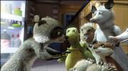 A wandering raccoon (voiced by Bruce Willis) encounters a critter community led by a tortoise (Garry Shandling) that is afraid of neighboring humans in "Over the Hedge."
