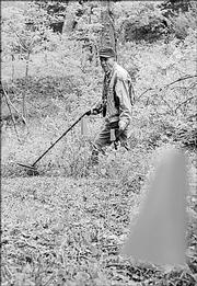 Volunteer Dick Harman uses a metal detector at the Black Jack site in search of battle artifacts. The heavily wooded area will be serve as a nature preserve in the future.