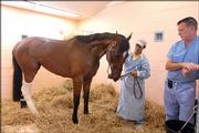 Jockey Edgar Prado greets Barbaro as Dr. Dean Richardson, right, watches at the University of Pennsylvania's New Bolton Center in Kennett Square, Pa. Prado paid his first visit Tuesday to Barbaro since pulling up the colt early in the the Preakness.