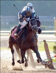 Jazil, with Fernando Jara aboard, wins the 138th Belmont Stakes. Bluegrass Cat, right, with John Velazquez aboard, finished second Saturday in Elmont, N.Y.