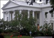 Heavy storms caused flooding and downed trees and power lines Monday in the Washington, D.C., area, including this large elm tree that fell at President Bush's doorstep in front of the White House. Heavy winds and rains knocked the large tree down overnight.
