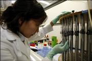 UCLA Olympic Analytical Laboratory chemist Eunice Yoo checks vials. The lab provides testing for the Kansas City, Mo.-based National Center for Drug Free Sport Inc.