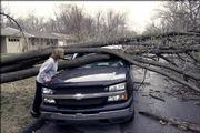 The March 12 microburst that hit Lawrence damaged homes, vehicles and other property. The strong winds toppled many trees, including this one near Fifth and Indiana streets, and caused thousands of dollars of damage.