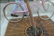 The city has determined that grates, instead of planters, are better for downtown because they give walkers more room. The grates also keep the soil contained.