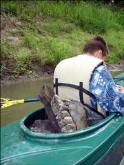 Kyler Mogusar, Rapid River, Mich., paddles his kayak on the Wakarusa River with the fossilized upper jawbone of an American mastodon. A Tonganoxie man, Garry Bichelmeyer, and three relatives discovered the jawbone and pieces of skull, which a Kansas University professor estimates are 10,000 to 20,000 years old.
