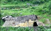 A family of six lives in this roughly 4-by-10-foot thatched hut. Money provided through the Hunan University program will soon fund a brick house for the family.