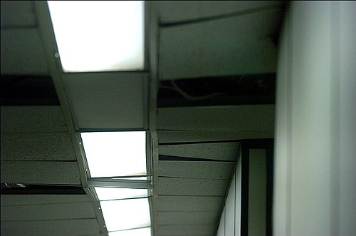 Photo detail