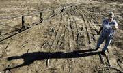 Dan Engler throws dust into the air as he prepares to spray weeds Thursday in a stubble field near Downs. Engler said he typically used more chemicals during dry conditions because weeds thrive even as crops fail during drought conditions.