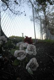 A bouquet of roses rests in the dirt near a fence that keeps people out of the area where the Board-walk Apartments fire took place. The fire killed three residents.