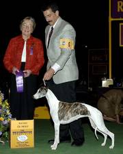judge Dorothy Hutchinson, left, and part-owner Paul Lepiane are shown with Champion Bohem C&squot;est La Vie, nicknamed named "Vivi." The dog won the Award of Merit at the Westminster Kennel Club dog show Feb. 14, 2006, in New York, but disappeared a day later and has not yet been found.