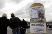 A reward is posted in March near a parking lot at LaGuardia Airport in New York City after Vivi, a show dog, disappeared after her Westminster Kennel Club show win.