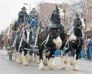 The Lawrence Old-Fashioned Christmas Parade along Massachusetts Street features horse-drawn vehicles exclusively. In this photo from 2003, Remington rears up while pulling Shawn Gordon, left, of Brighton, Mo., and Larry Elarton, Fort Morgan, Colo., on a six-horse hitch wagon.