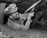 A coal miner picks at a bed of coal in this photograph from 1950. Chronic lung diseases, such as pneumoconiosis, commonly refered to as black lung, were once common in miners, leading to reduced life expectancy.