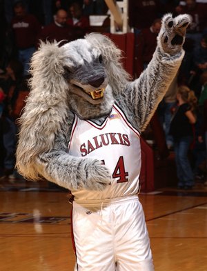 Southern Illinois Salukis