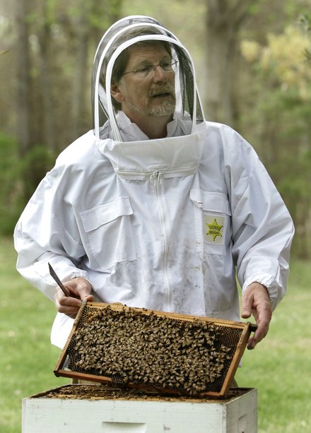 Bee Scientist