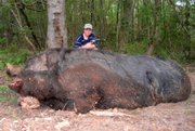 Jamison Stone, 11, poses with a wild pig he killed near Delta, Ala., May 3. Stone's father says the hog weighed a staggering 1,051 pounds and measured 9-feet-4 from the tip of its snout to the base of its tail. If claims of the animal's size are true, it would be larger than ``Hogzilla,'' the huge hog killed in Georgia in 2004.