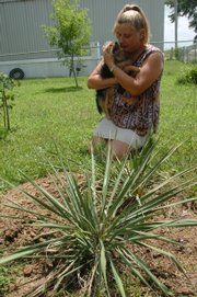 Keri Collins thinks she's lost three dogs this year to the contaminated dog food scare. She has buried the dogs, seen in the photo at top, beneath a yucca plant in her yard. She's shown here holding a brother of the three.