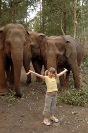 Bindi Irwin, the 8-year-old daughter of the late crocodile hunter Steve Irwin, poses with three elephants on the set of her new show "Bindi: The Jungle Girl," at Australia Zoo in Beerwah, Australia.