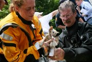 Rescue workers clean oil from a kitten rescued from a home Tuesday after flooding combined with an oil spill affected a large part of Coffeyville.