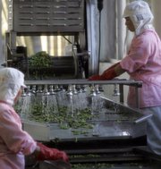 Chinese workers watch machines washing soya beans in June at the Donghai Frozen Foods Co. Ltd factory in Xiamen. Donghai ships 7,000 to 15,000 tons of frozen vegetables a year.