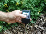 An electronic moisture meter is seen in this undated photograph. Electronic moisture meters are available through many local and mail-order garden supply stores. You merely push the metal probe of these devices into the ground, then read the result - dry, moist or wet - on the gauge atop the probe.