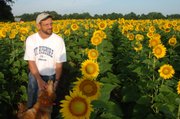 Ted Grinter, of rural Tonganoxie, pets his dog Buddy early Tuesday morning in his sunflower field between Lawrence and Tonganoxie. Grinter plants a small field every year, sells the seeds and lets the public take photos when the plants are in full bloom.