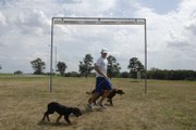 Kansas University's Colby Wissel runs with his dogs, Forest, front, and Molly on the Haskell campus. Wissel is the antithesis of embattled former NFL quarterback/confessed dogfighter Michael Vick.