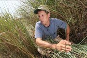John Fike, a professor at Virginia Tech, combs through switchgrass at the school's agricultural center in Orange, Va. Scientists haven't perfected the process that turns switchgrass into ethanol, but the prairie plant is expected to be a new source of fuel. Virginia officials are encouraging farmers to grow switchgrass and are envisioning dozens of refineries.