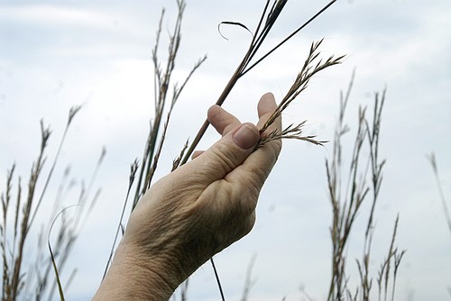 Photo detail