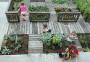 children spend a part of their morning tending a garden plot at Raintree Montessori School, 4601 Clinton Parkway, in this 2005 file photo. Candice Shoemaker, associate professor of horticulture, forestry and recreation resources at Kansas State University, has received a grant for $1.04 million from the U.S. Department of Agriculture's National Research Institute to study whether gardening can promote healthier lifestyles.