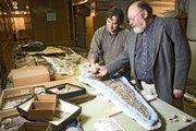 In the basement of Kansas University Natural History Museum, paleontologist David Burnham, left, and Larry Martin, professor and senior curator of vertebrate paleontology, view a backbone of a mosasaur and the back paddle of Dolichorhynchops bonneri, a giant seagoing reptile from about 80 million years ago. Dozens of never-before-seen fossilized specimens will be on display Sunday at the museum.
