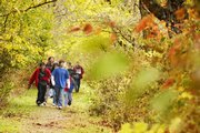Hillcrest School sixth-graders walk through colorful vegetation Friday on their field trip to the Baker Wetlands. The students learned about macro-invertebrates, wetlands history, botany, movement and water chemistry during the trip.