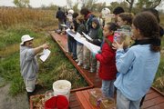 Rex Powell, a board member for the Jayhawk Audubon Society, points out a bucket holding tadpoles to Hillcrest School sixth-graders on a field trip Friday to the Baker Wetlands. The students learned about biodiversity and the wetlands, thanks to a partnership between the Jayhawk Audubon Society and Kaw Valley Heritage Alliance/StreamLink.