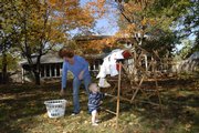 Sandy Beverly sets cloth diapers out to dry on Thursday while her 1-year-old son Max watches. Beverly says using cloth diapers requires a bit more work than using disposables, but the extra effort is worth it for the environmental benefits.