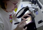 Quality control microbiologist Kim Egger inspects a bacteria culture taken from ground meat processed at the Excel slaughterhouse in Schuyler, Neb., in this June 2000 file photo. In the summer months, as many as one in every two cows processed at the Excel plant carry the deadly E. Coli 0157:H7 bacteria, but before the meat reaches consumers, it is put through a state-of-the-art system of scrubbing, washes, rinses and steam-pasteurization designed to remove most, if not all, of the bacteria.