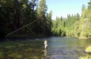Lee Spencer casts on the North Umpqua river near Steamboat, Ore. Spencer cuts the points off his hooks to avoid killing any of the fish he raises.