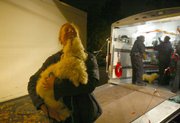 Suzanne D'Alonzo from the Animal Welfare League of Alexandria, Va., helps unload seized puppies and dogs at the Fairfax County, Va., Animal Shelter. Animal lovers along the East Coast responded after authorities seized 1,000 dogs from an alleged puppy mill in southern Virginia.