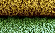 This image, released by Georgia Tech University, shows a magnified SEM image of two microfiber brushes meeting "teeth-to-teeth." The top one is coated with gold, and the bottom one is covered with zinc oxide nanowires. Electrical current is created when the fibers scrub together. Scientists are working to make these electrical currents useful, such as for charging iPods and cell phones.