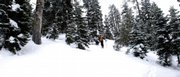U.S. Forest Service Avalanche Ranger Eric White patrols the backcountry outside Mount Shasta, Calif. White and other avalanche rangers produce the avalanche danger warnings posted regularly on the Internet and at ranger stations.