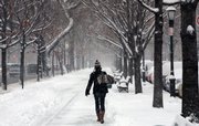 A pedestrian walks along Eastern Parkway Friday as a winter storm blankets the area with snow in the Brooklyn borough of New York. The storm caused headaches for commuters and delayed flights at the region's major airports.